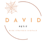 LOGO-DAVID-PETIT